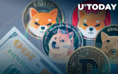 <strong>WEEXWE-Launch狗狗币专场100,000DOGE免费空投</strong>